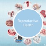 Empowering youth through reproductive health education