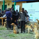 Rwanda intensifies One Health Efforts to eliminate Rabies by 2030