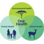 Rwanda steps up One Health efforts linking human, animal and environmental health